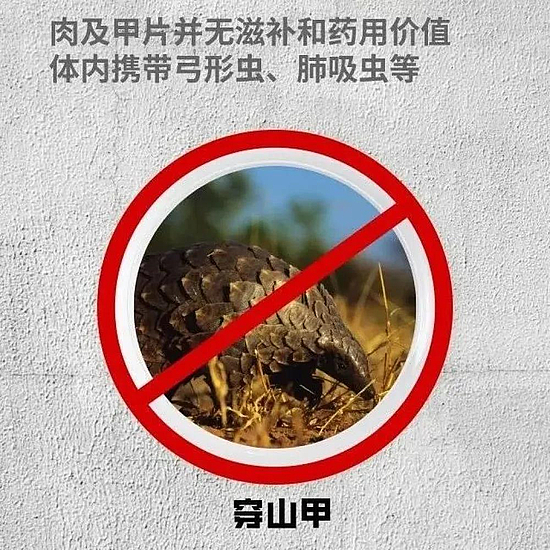 微信图片_20200228152533.jpg 微信图片_20200228152533.jpg