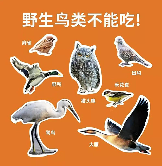 微信图片_20200228152547.jpg 微信图片_20200228152547.jpg