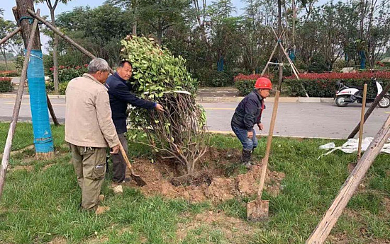 1572874172(1).png 1572874172(1).png