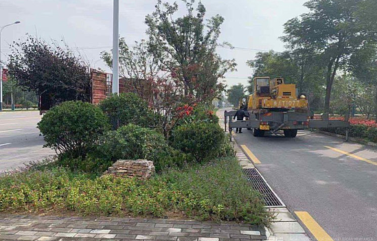 1572874222(1).png 1572874222(1).png