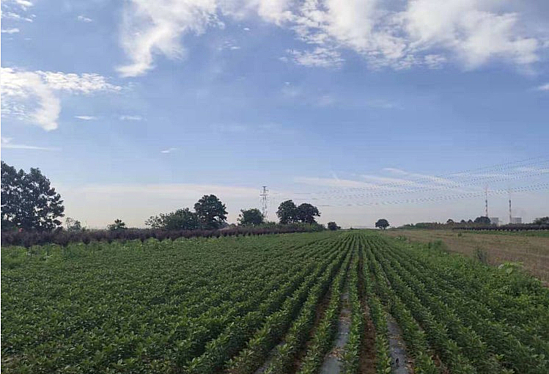 1571215208(1).jpg 1571215208(1).jpg