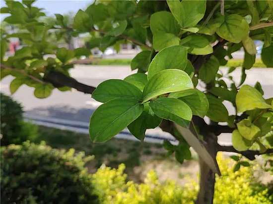 微信图片_20190529170627.jpg 微信图片_20190529170627.jpg