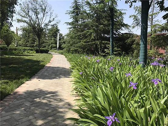 微信图片_20190529171242.jpg 微信图片_20190529171242.jpg