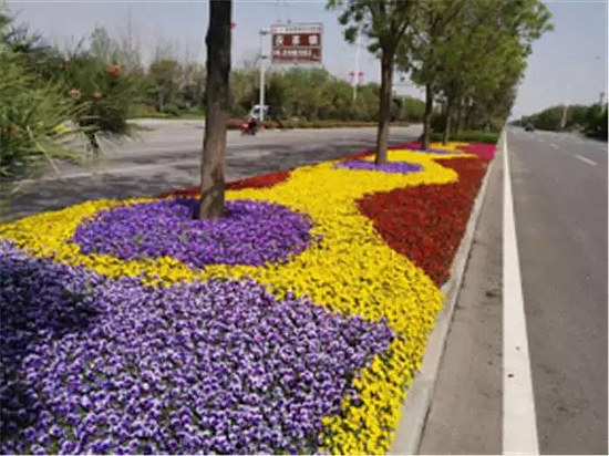 微信图片_20190529171545.jpg 微信图片_20190529171545.jpg