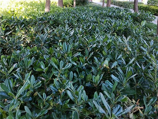 微信图片_20190529171650.jpg 微信图片_20190529171650.jpg