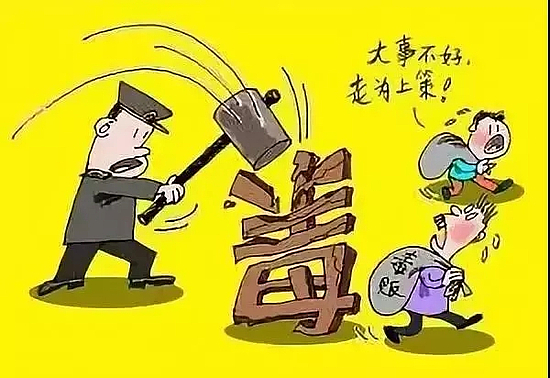 1.webp (2).jpg 1.webp (2).jpg