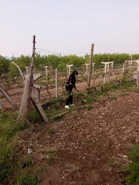 微信图片_20191113175819.jpg 微信图片_20191113175819.jpg