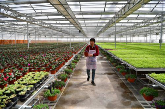 创新不止步 陕西自贸试验区西咸新区跑出“新速度” 创新不止步 陕西自贸试验区西咸新区跑出“新速度”