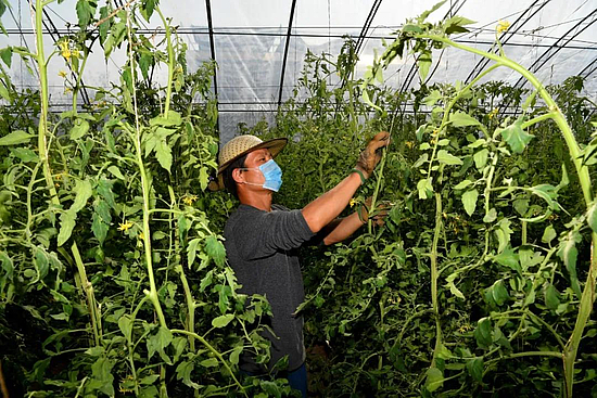 微信图片_20200308154114.jpg 微信图片_20200308154114.jpg