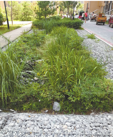 378d8fc141d045849cc83a39bb079887.png 378d8fc141d045849cc83a39bb079887.png