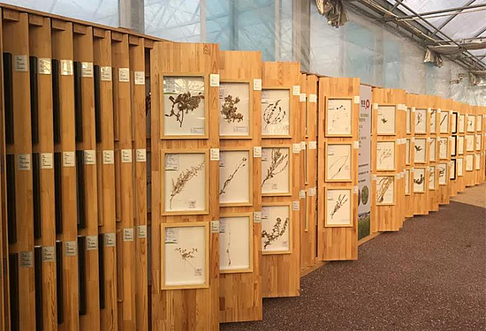 微信图片_20180731090706.jpg 微信图片_20180731090706.jpg