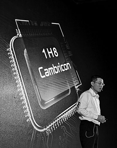 2534202483160085797.jpg 2534202483160085797.jpg