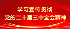学习宣传贯彻党的二十届三中全会