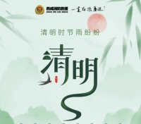 【网络中国节•清明】西咸消防发布清明节消防安全提示